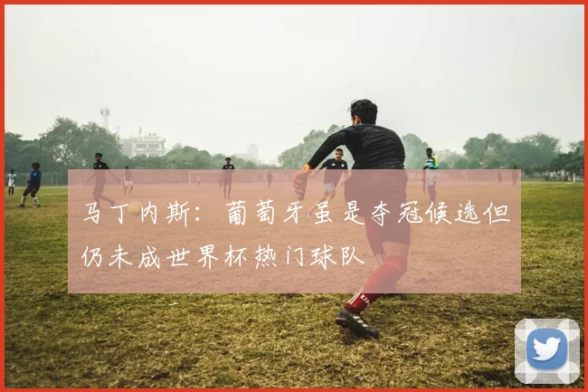马丁内斯：葡萄牙虽是夺冠候选但仍未成世界杯热门球队
