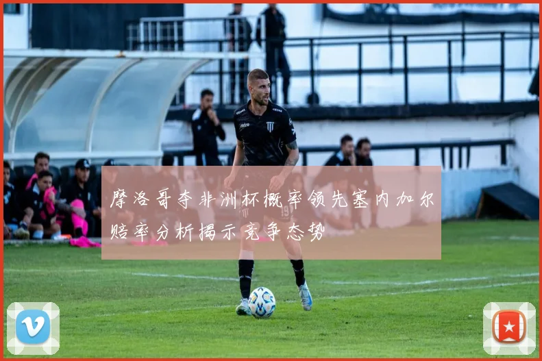 摩洛哥夺非洲杯概率领先塞内加尔赔率分析揭示竞争态势